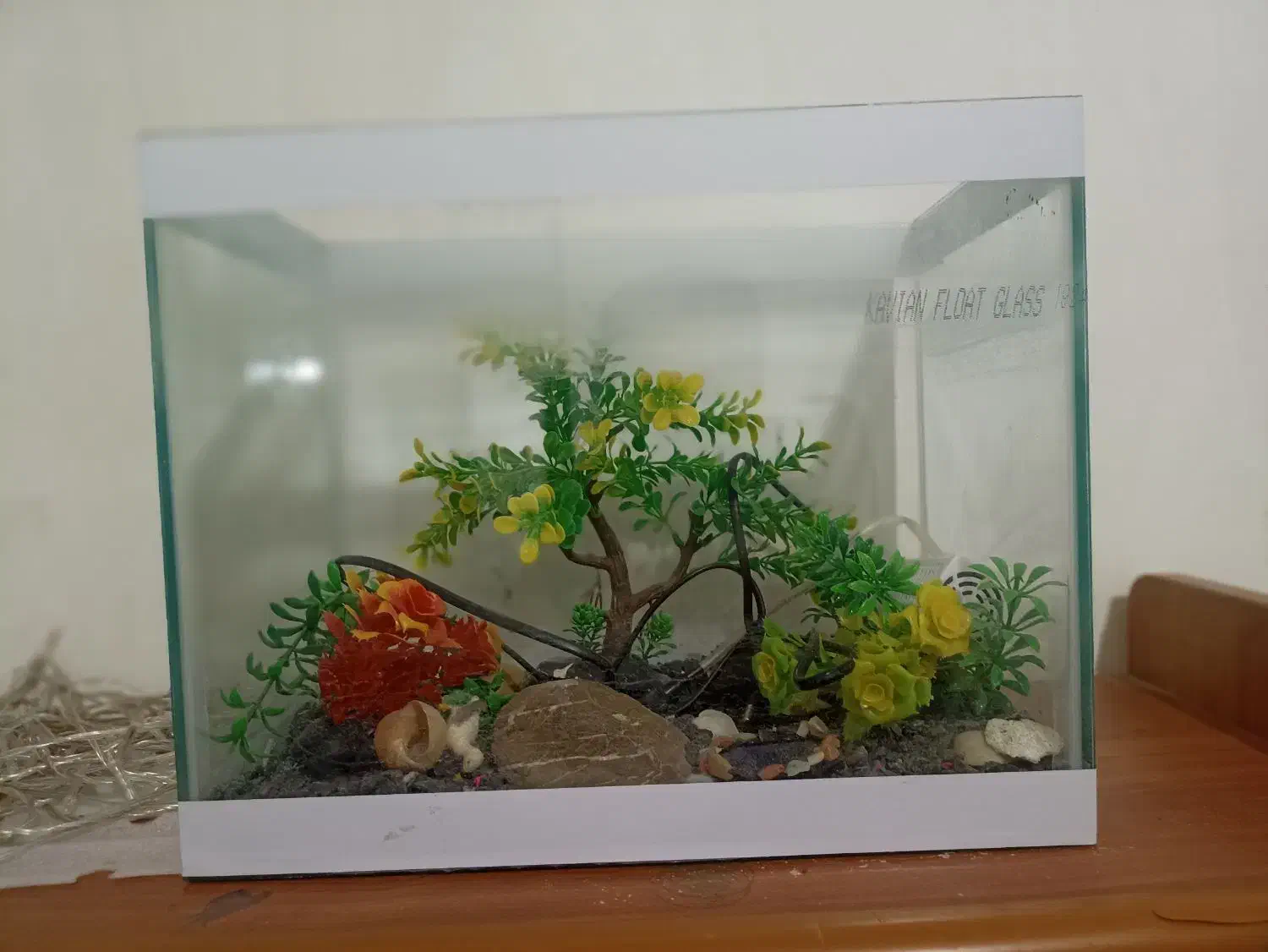 آکواریوم با همه وسایل تزئینی و پمپ|ماهی|یاسوج, |دیوار