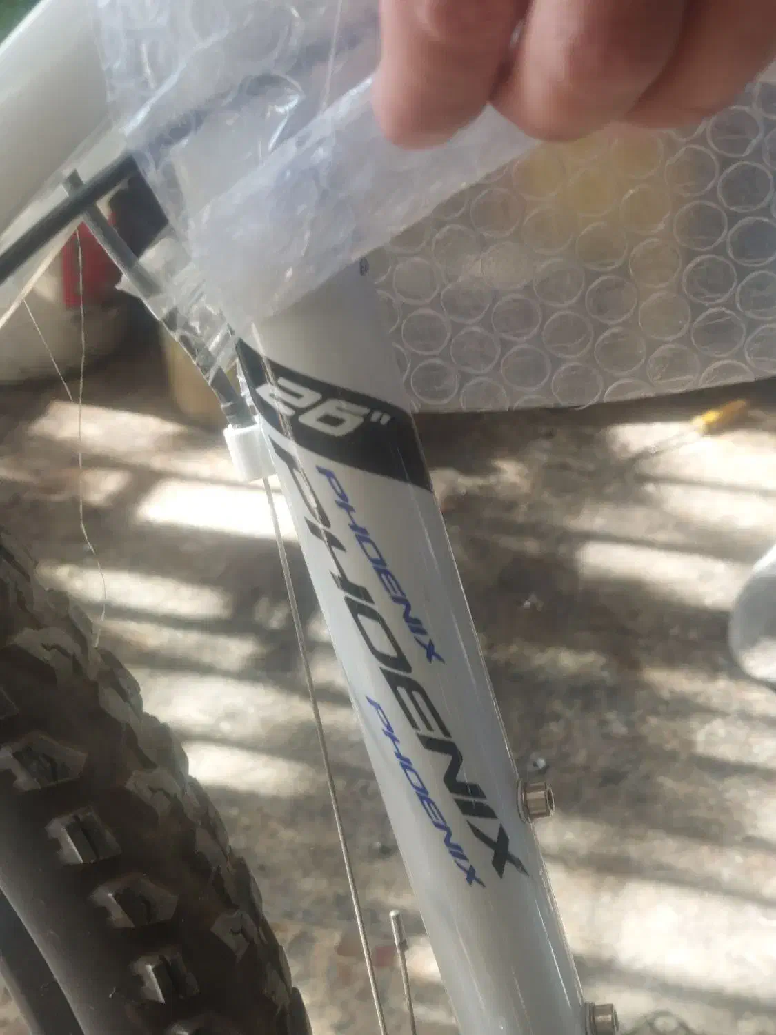 دو چرخه فونیکس|دوچرخه، اسکیت، اسکوتر|فولادشهر, B1|دیوار