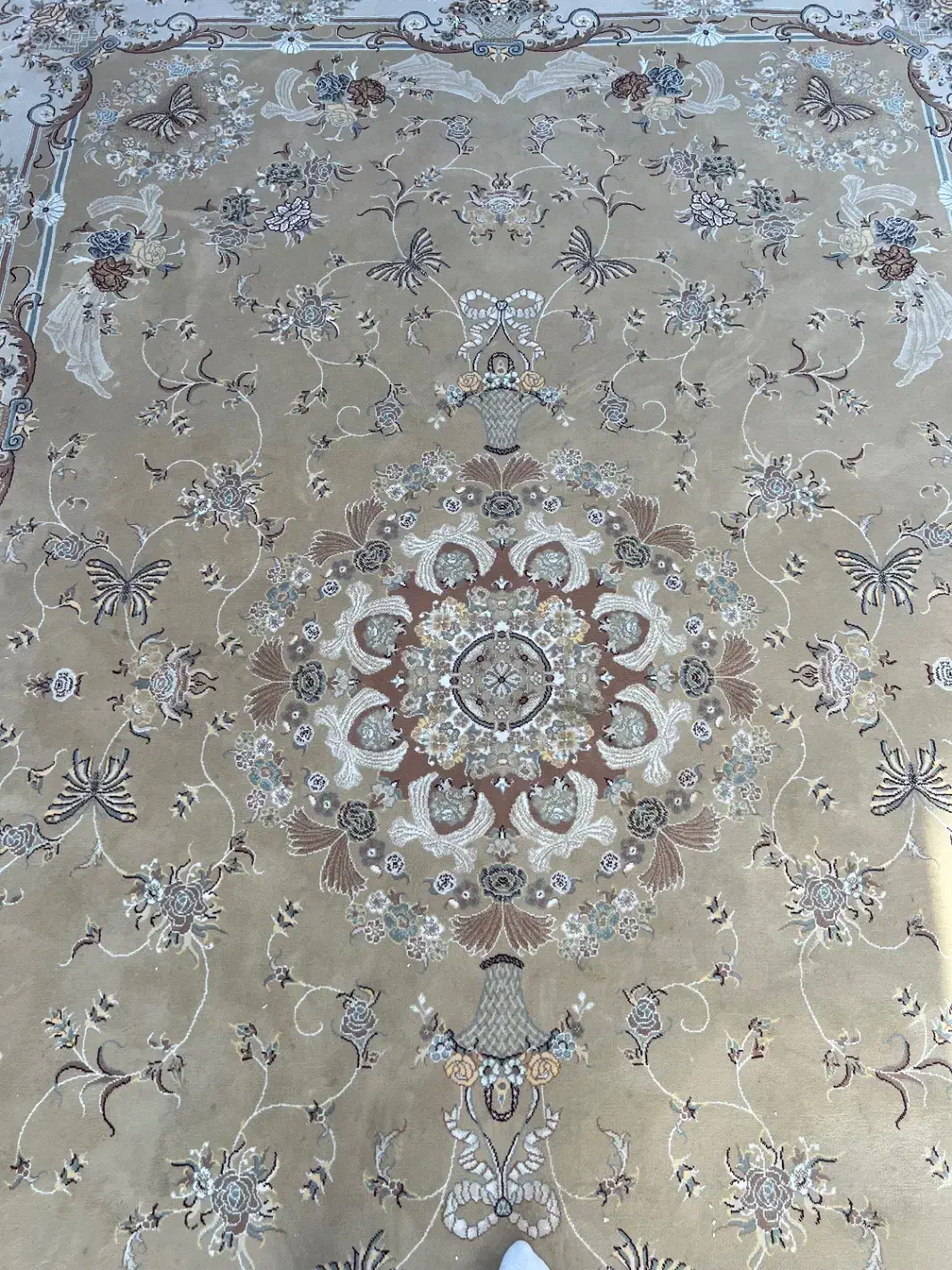 فرش ۹ متری|فرش|ساری, |دیوار