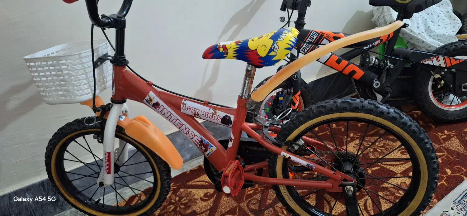 دوچرخه نو ۱۶|دوچرخه، اسکیت، اسکوتر|بندر کنگان, |دیوار