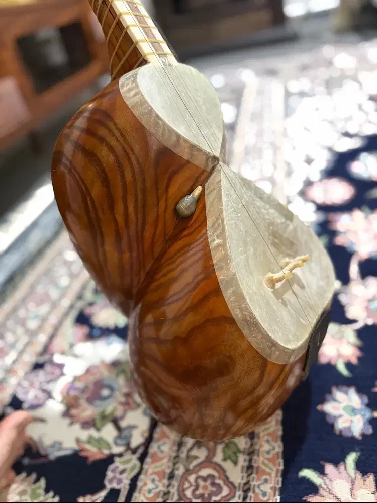 تار ۳/۴ زیبا|سازهای سنتی|هشتگرد, شهرک ولیعصر (مصلی)|دیوار