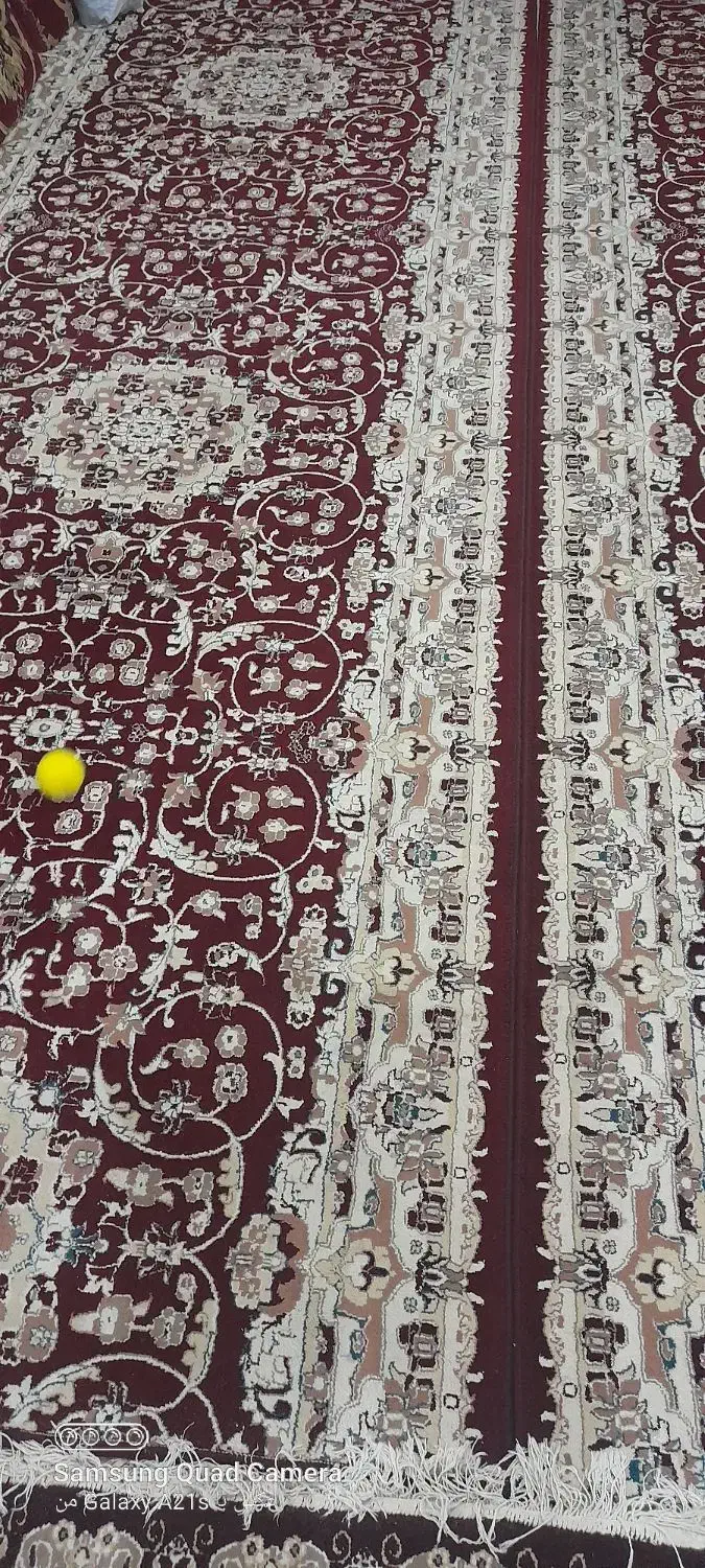 فروش فرش ومبل|فرش|جهرم, |دیوار