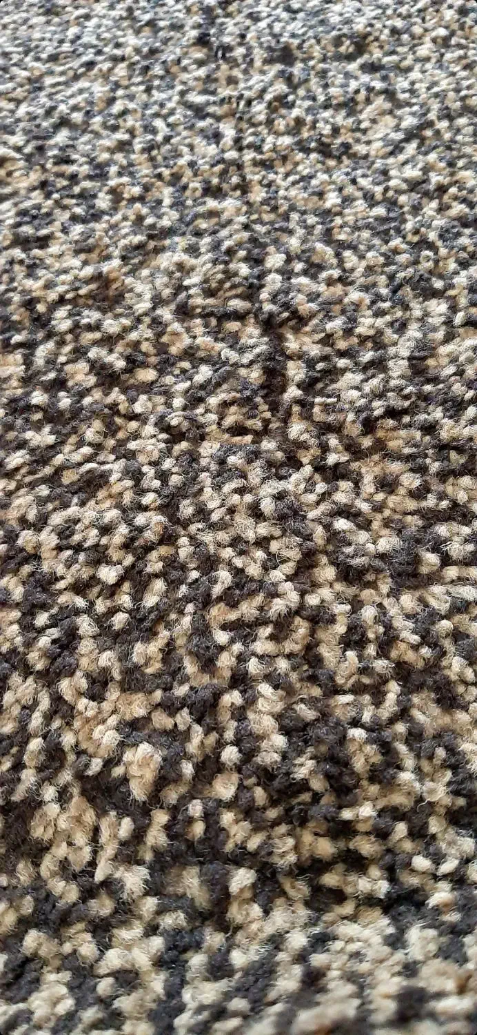 پالاز موکت پرز بلند|موکت|جوانرود, |دیوار