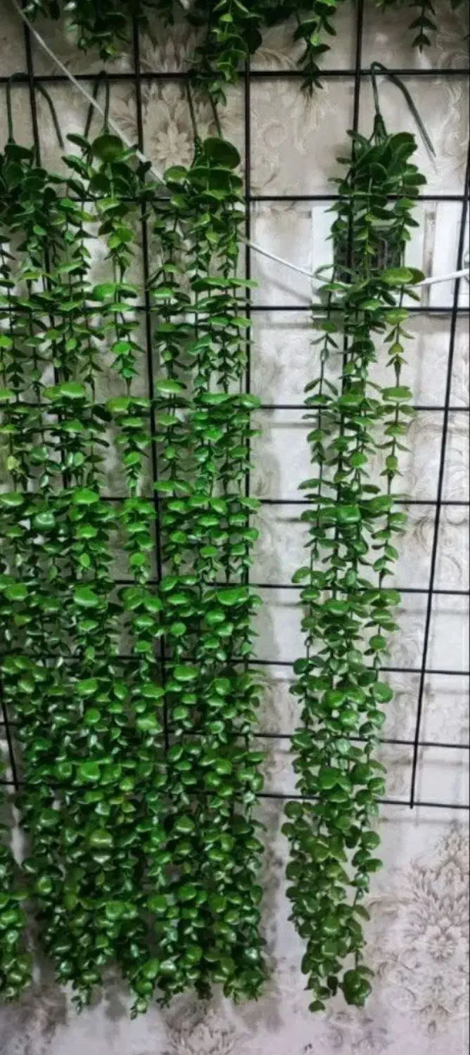 درختچه|گل مصنوعی|ساوه, |دیوار