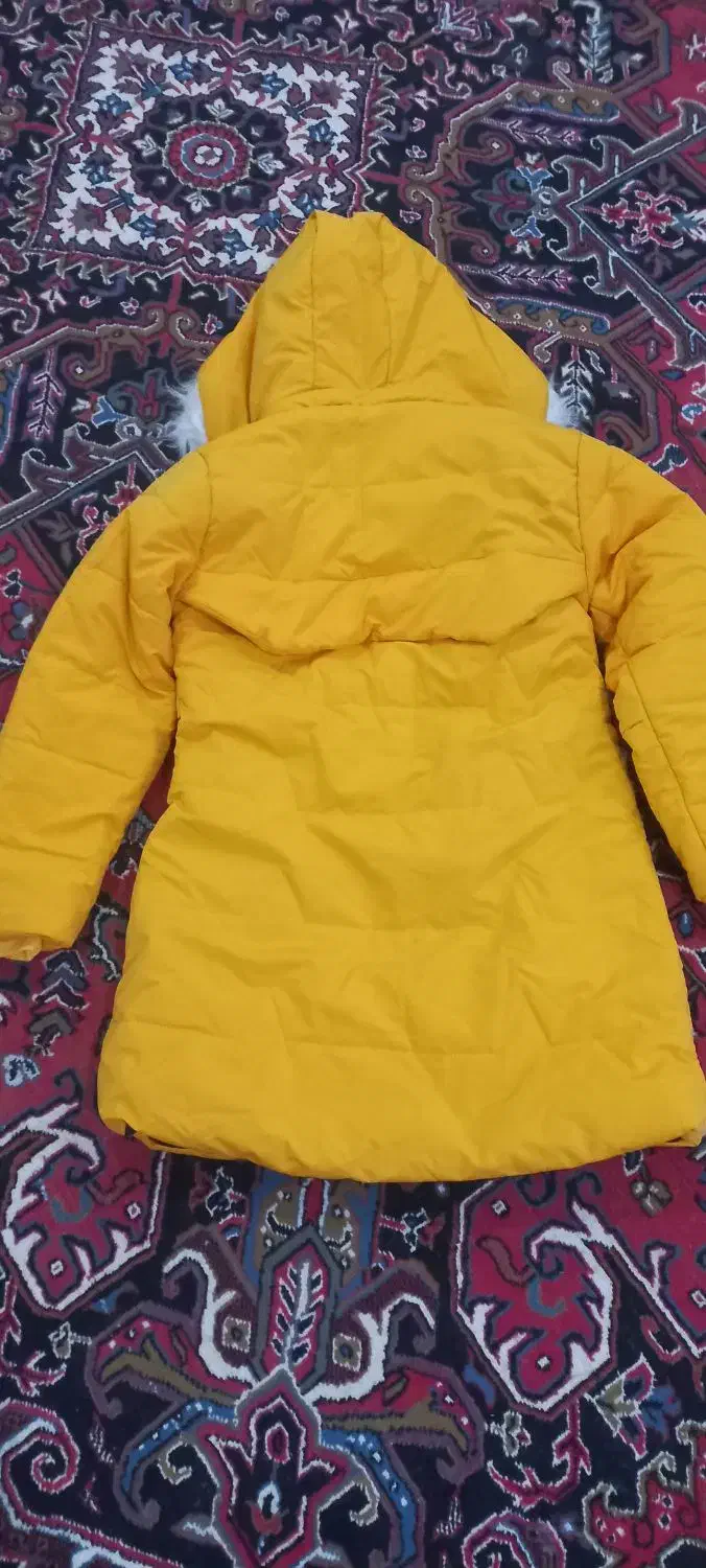 کاپشن دخترانه نو نو|لباس|خوی, |دیوار