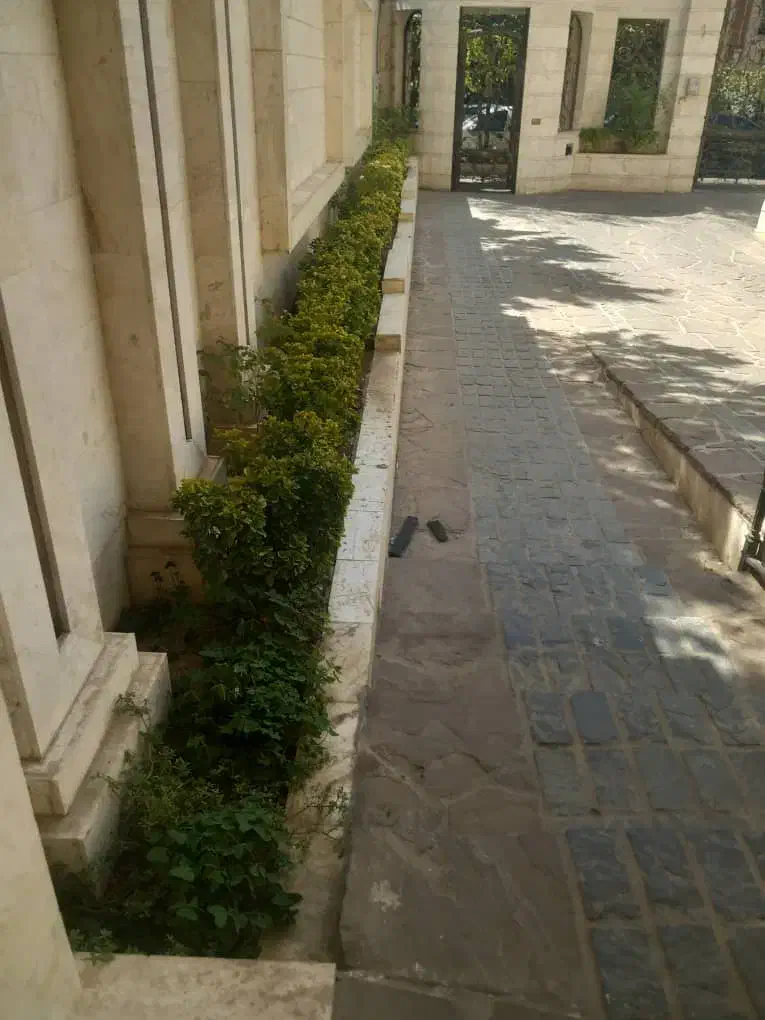 درخت کاری باغبانی گل گیاه تهران تخصص در گیاهان|خدمات باغبانی و درختکاری|تهران, بلوار کشاورز|دیوار