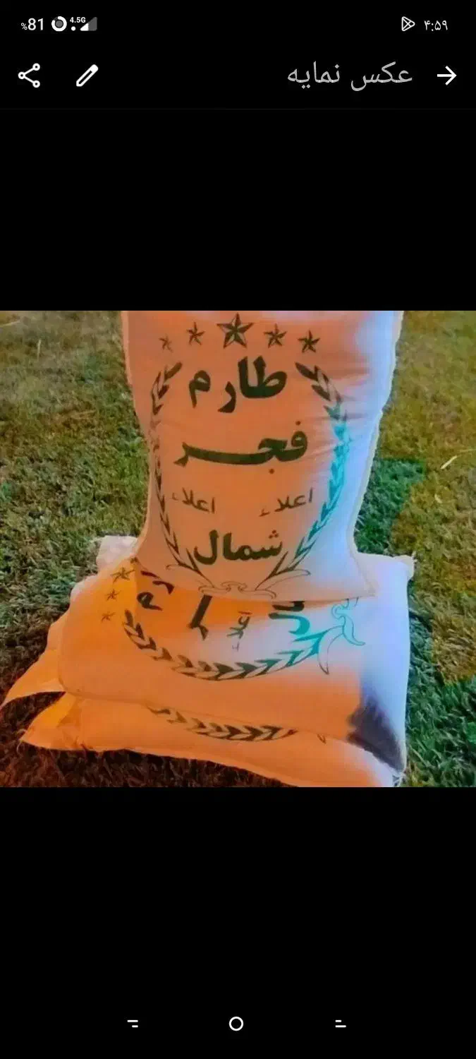 برنج طارم فجر شمال با تضمین کیفیت و مرجوعی|خوردنی و آشامیدنی|قم, بنیاد|دیوار