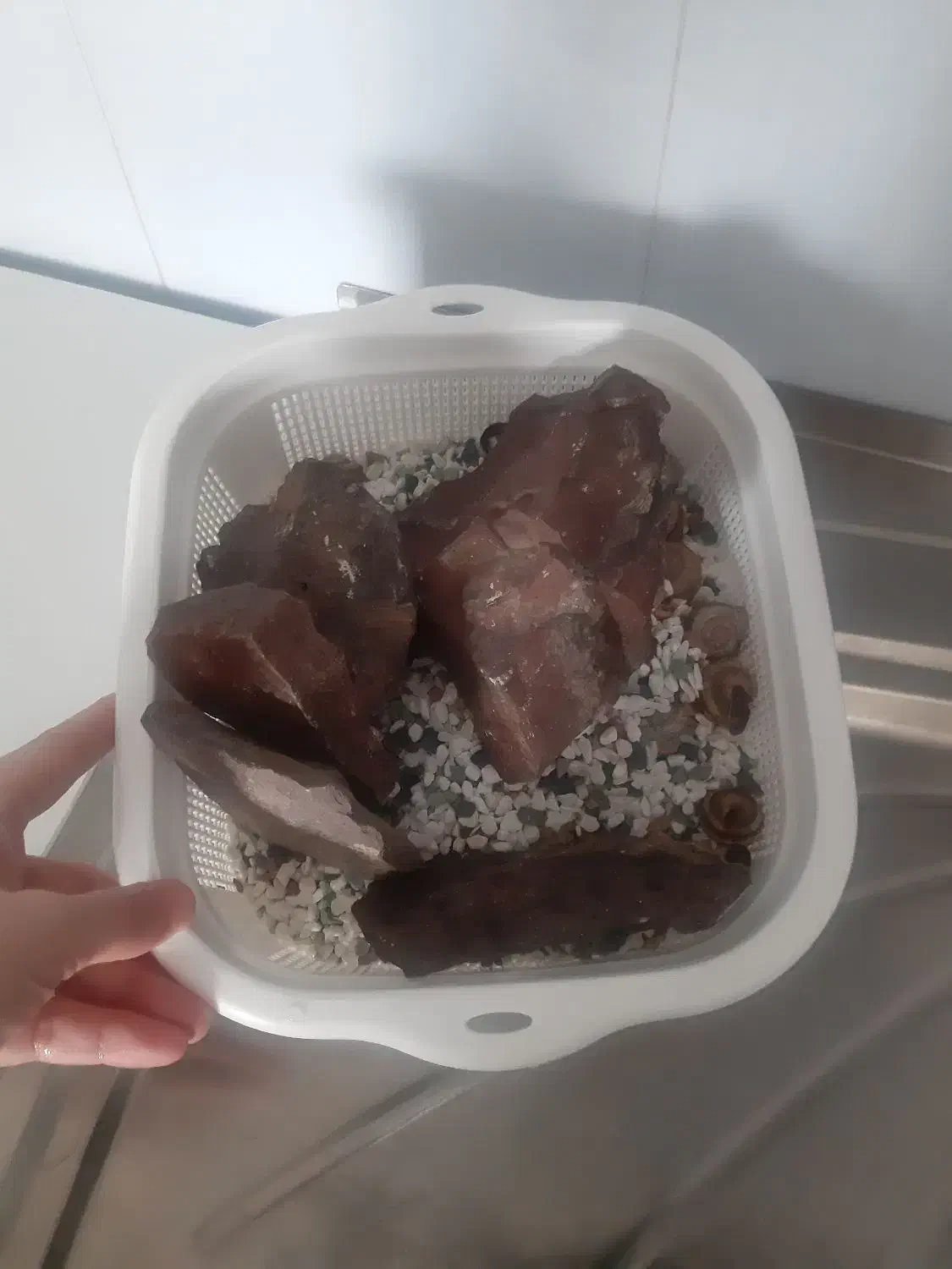 آکواریوم|لوازم جانبی حیوانات|پرند, فاز ۶|دیوار