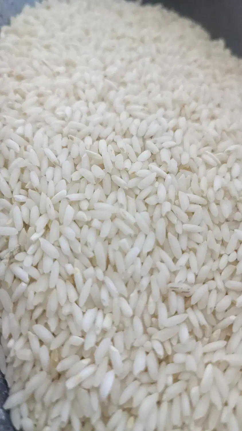 برنج عنبر بو تیلکی شوشتر|خوردنی و آشامیدنی|شاهین‌شهر, خانه کارگر|دیوار