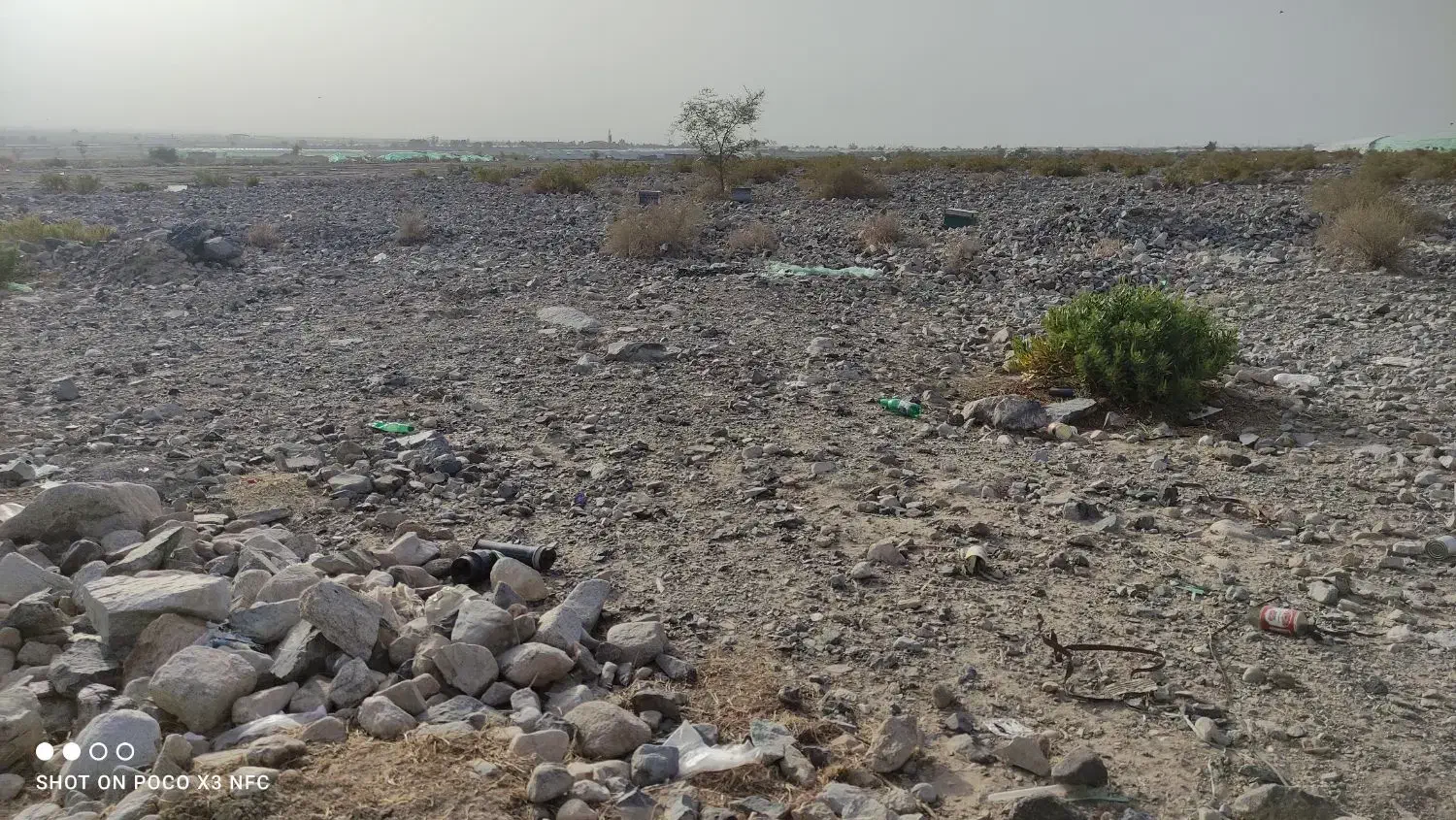 فروش نیم هکتار زمین کشاورزی|فروش دفتر صنعتی، کشاورزی، تجاری|عنبرآباد, |دیوار