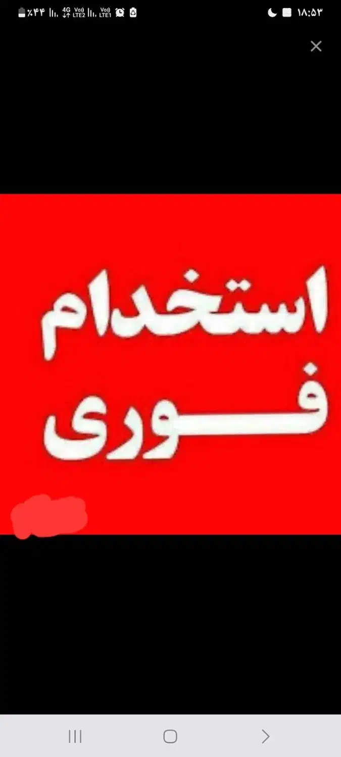 شاگرد میوه فروشی، کارگر ساده میوه فروشی|استخدام خدمات فروشگاه و رستوران|مشهد, فارغ التحصیلان|دیوار