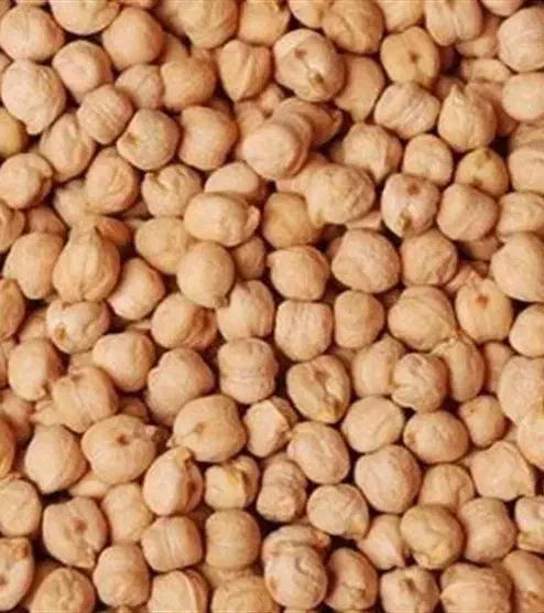 نخود|خوردنی و آشامیدنی|تهران, ابوذر|دیوار