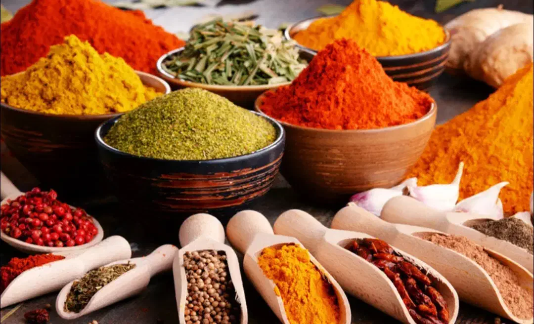 آسیاب انواع خشکبار|خردکن، آسیاب، غذاساز|بجنورد, |دیوار