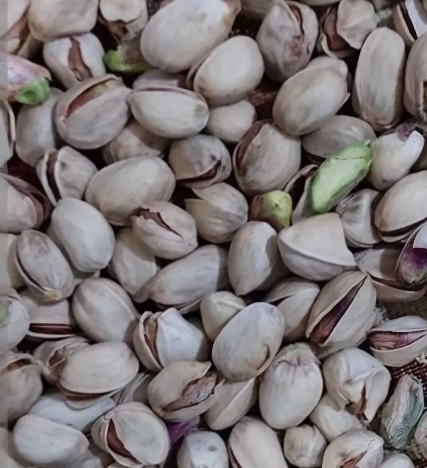 پسته درهم|خوردنی و آشامیدنی|میان جلگه, |دیوار