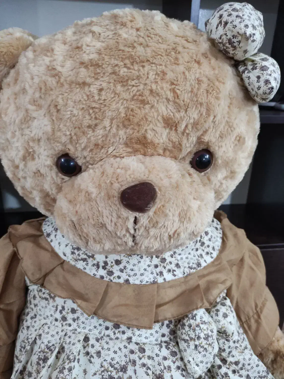 خرس بزرگ|اسباب‌بازی بچه|گرگان, |دیوار