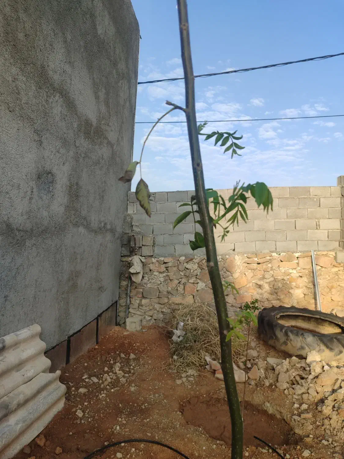 منزل  ویلایی دوخوابه|اجارهٔ خانه و ویلا|ارژن, |دیوار