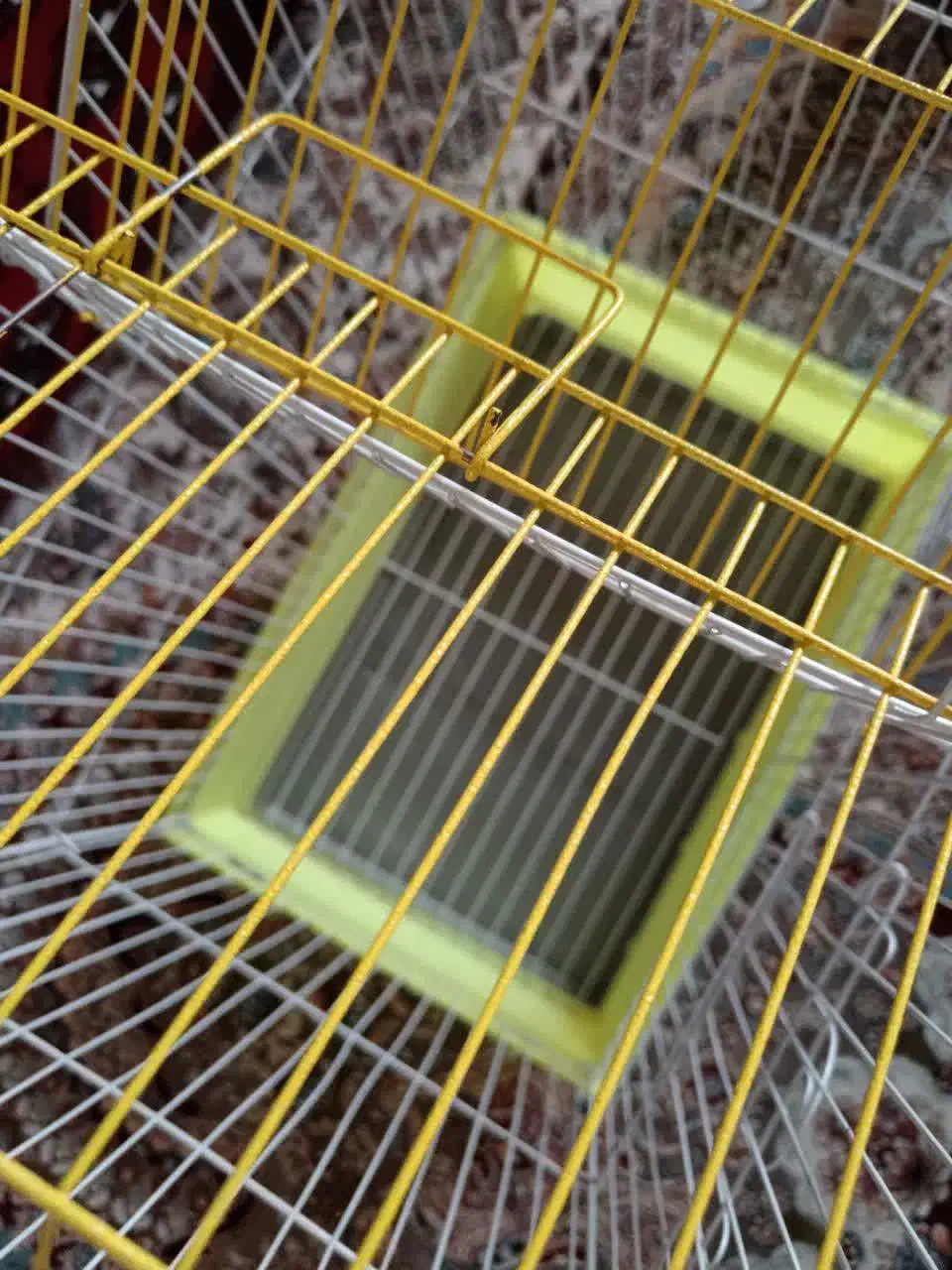 قفس|لوازم جانبی حیوانات|بیرجند, |دیوار