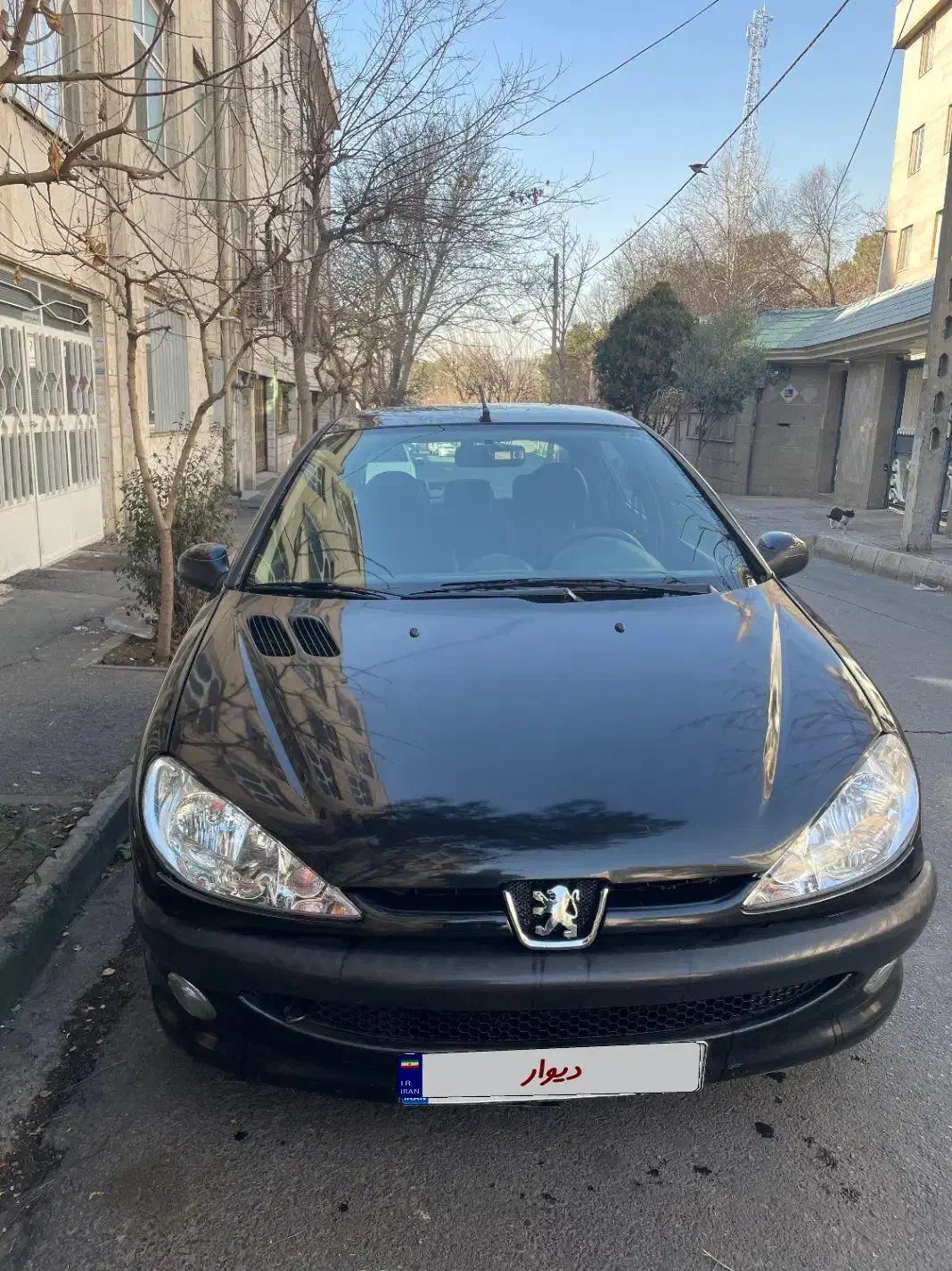 ۲۰۶ اتومات|خودرو سواری و وانت|تهران, شهرآرا|دیوار