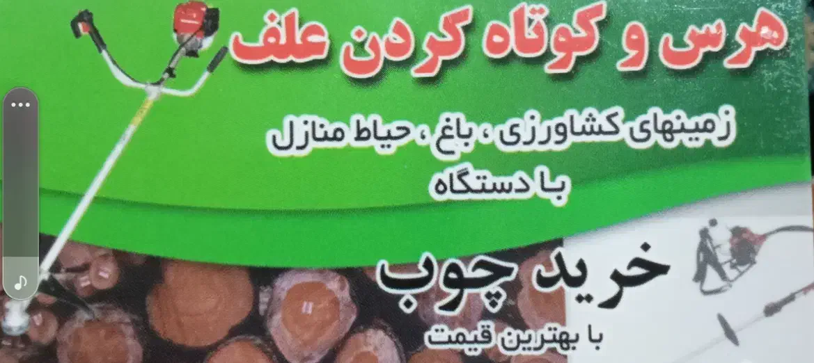 خرید چوب|خدمات باغبانی و درختکاری|رودسر, |دیوار