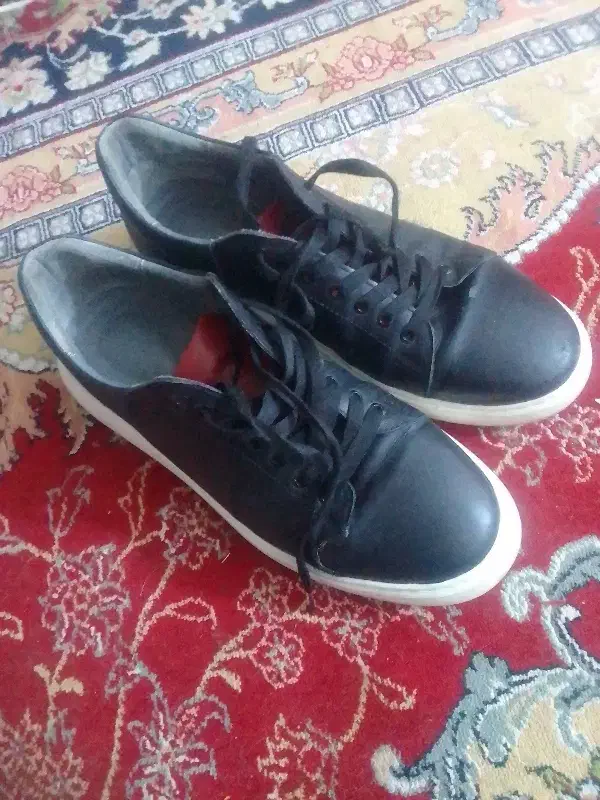 کفش|کیف، کفش، کمربند|سنندج, |دیوار