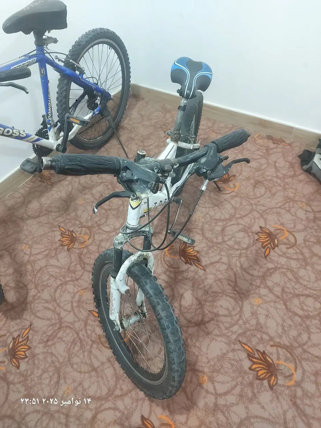 دوچرخه سایز ۲۰و ۲۶|دوچرخه، اسکیت، اسکوتر|رامیان, |دیوار