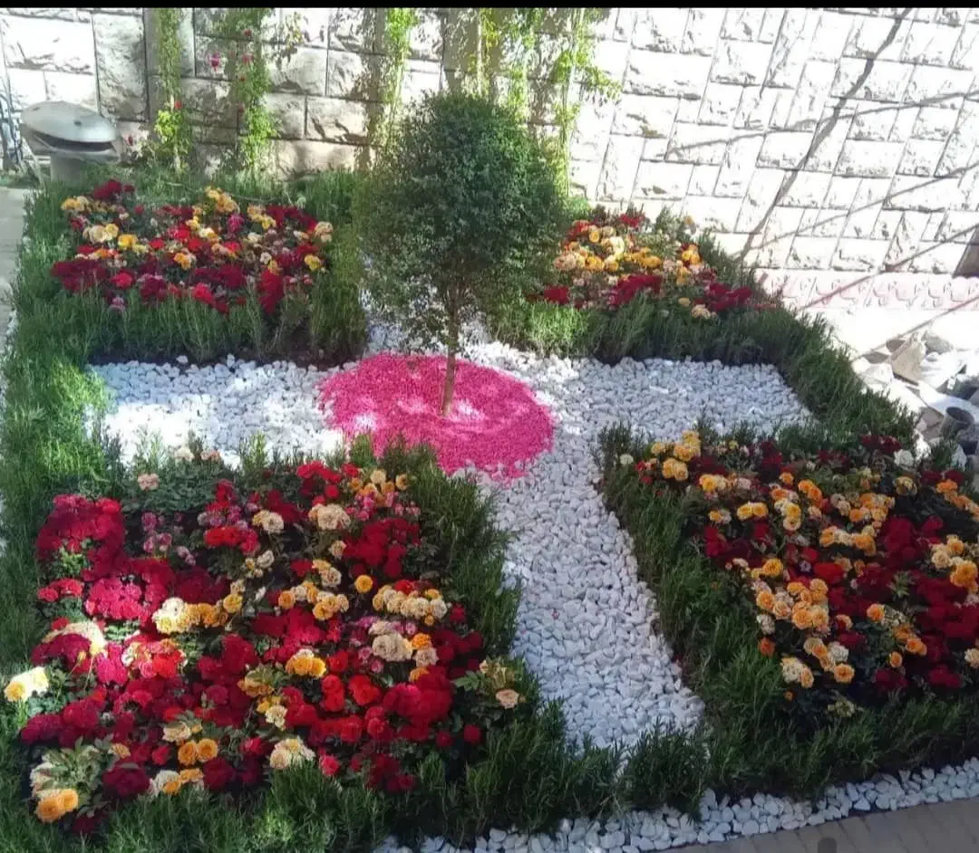 خدمات باغبانی هرسکاری کودهی گلکاری.متخصص.گلدون|خدمات باغبانی و درختکاری|تهران, نیروی هوایی (پیروزی)|دیوار