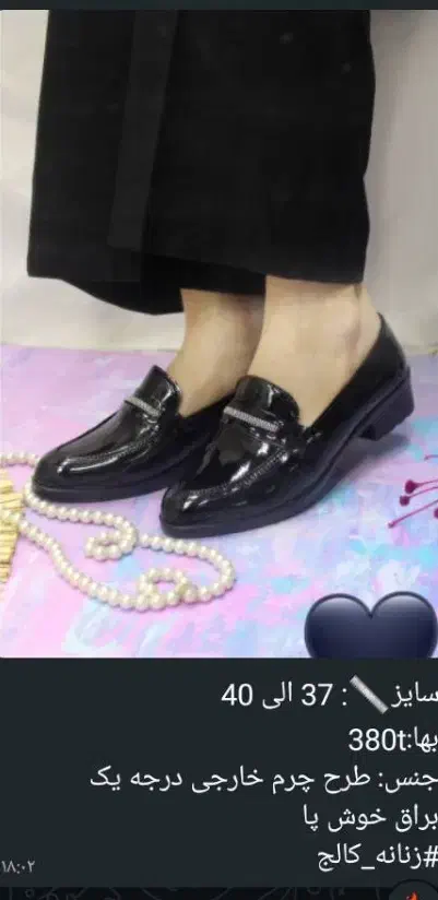 کالج زنانه|کیف، کفش، کمربند|بندر دیر, |دیوار