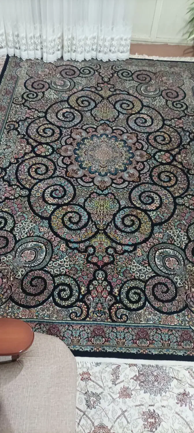 چند تخته فرش ماشینی|فرش|اسدآباد, |دیوار