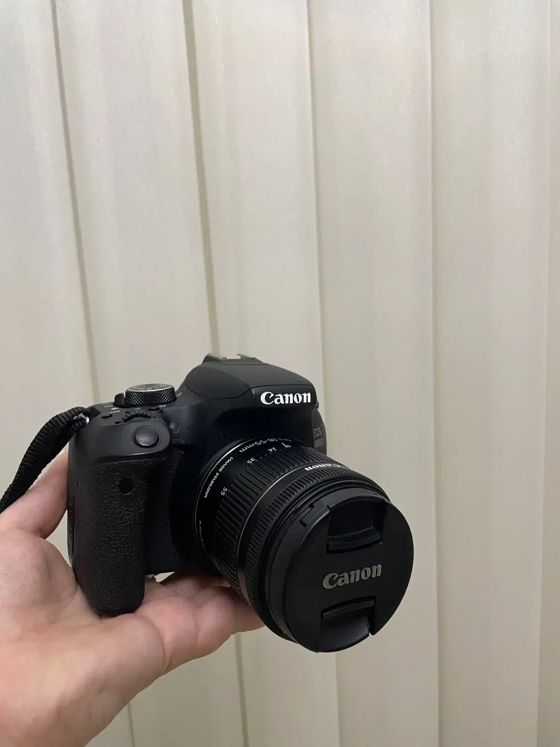دوربین کنون Canon 800 d|دوربین عکاسی و فیلم‌برداری|میانه, |دیوار