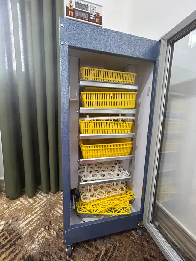 دستگاه جوجه کشی ۲۱۰عددی|لوازم جانبی حیوانات|بابل, |دیوار