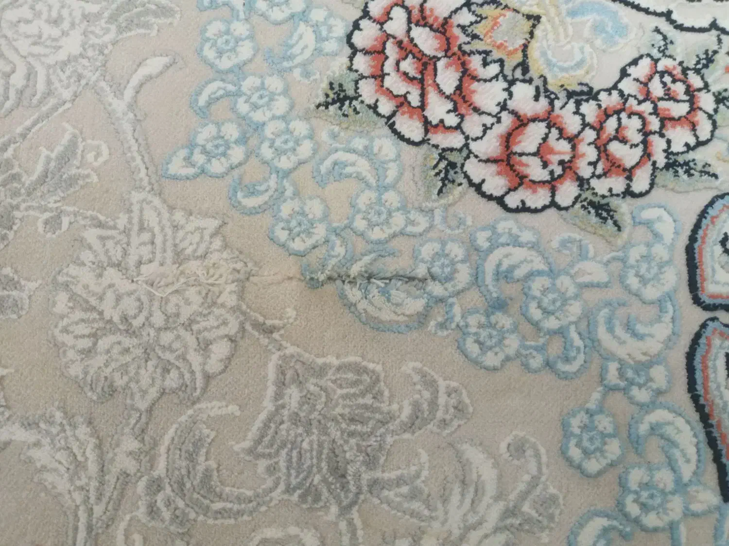 فرش ۱۰۰۰شانه|فرش|محمدشهر, محمدشهر|دیوار