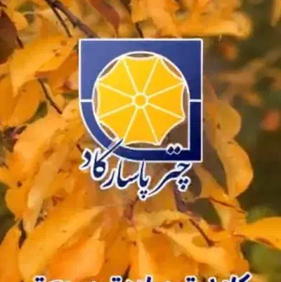 فرصت شغلی ویژه نمایندگی بیمه پاسارگاد|استخدام بازاریابی و فروش|لردگان, |دیوار