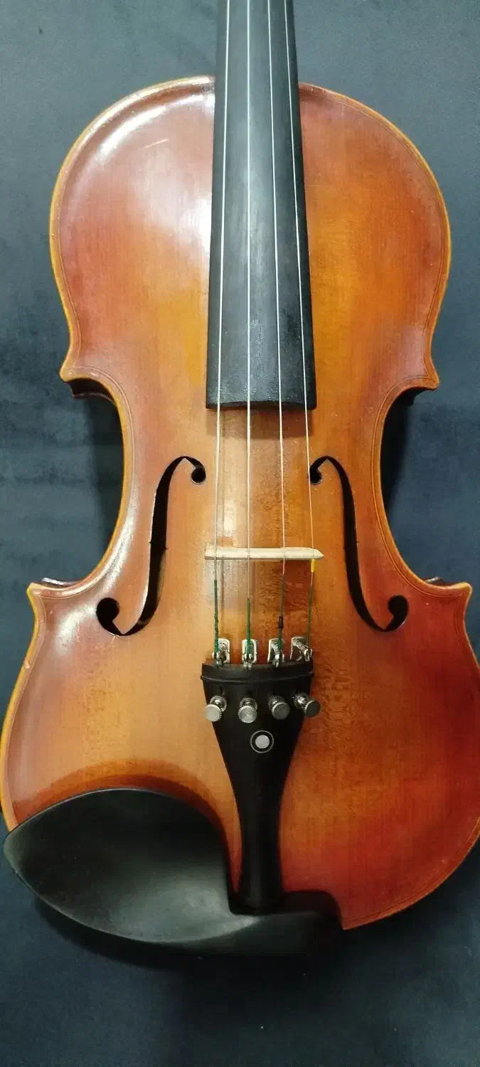 ویولن دست ساز حرفه ای|ویولن|تهران, هرندی|دیوار