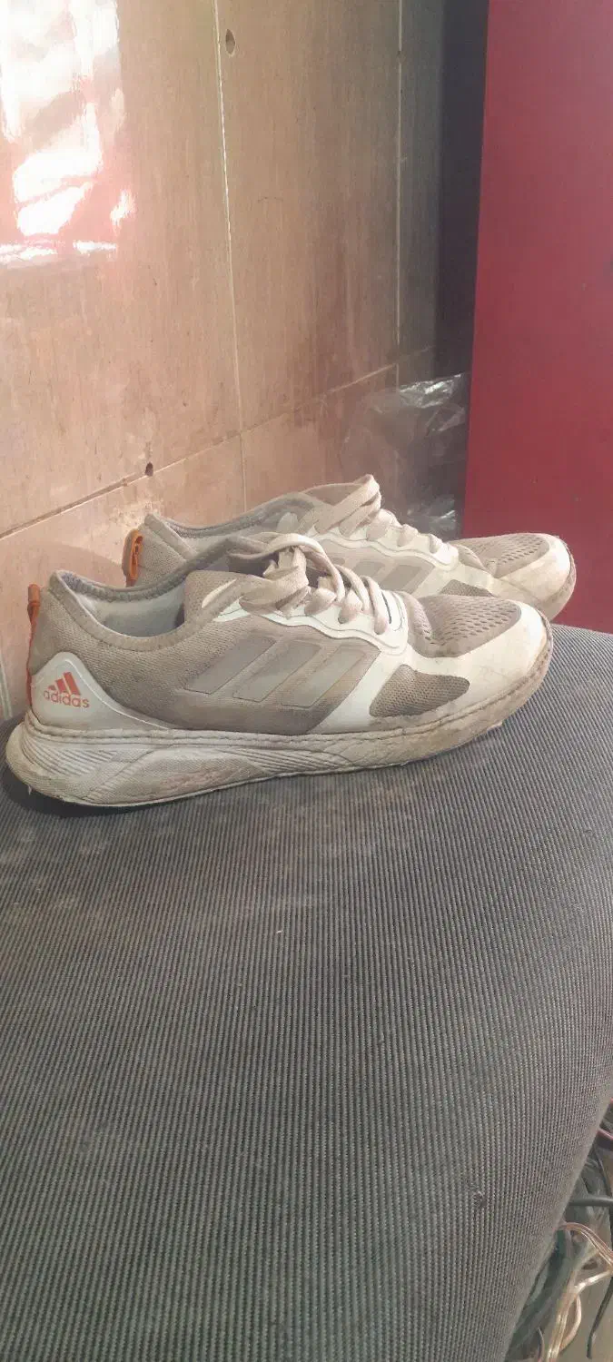 کتانی اصل|کیف، کفش، کمربند|اردبیل, |دیوار