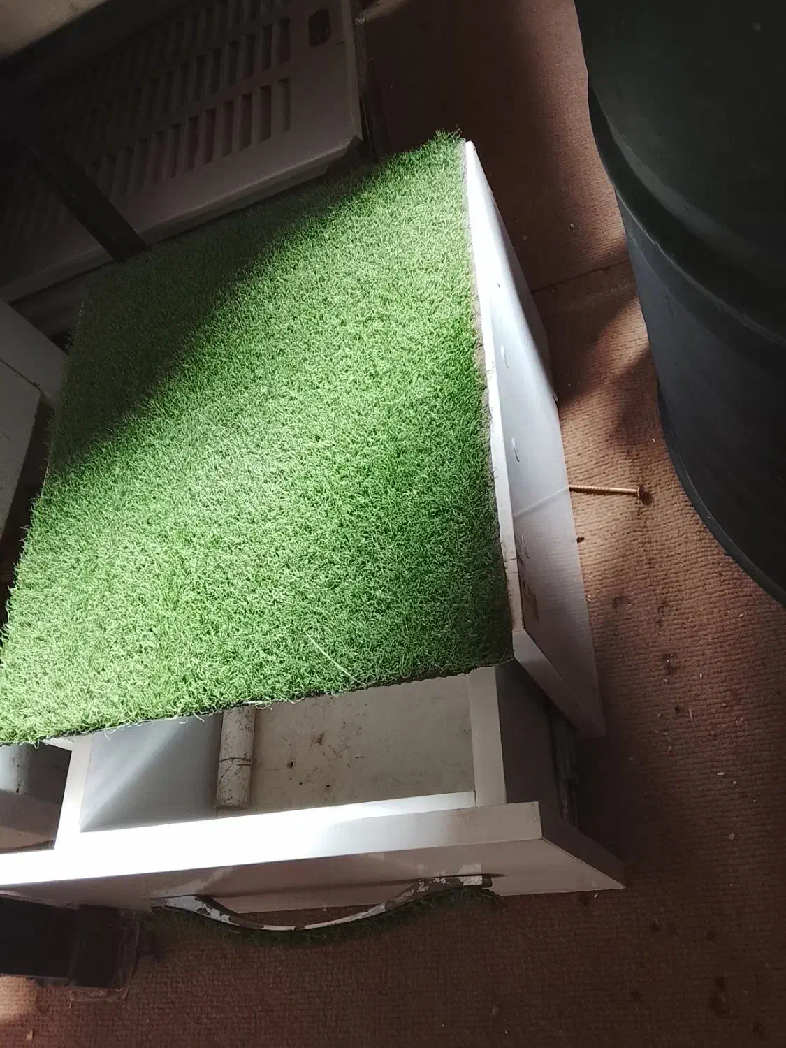 کشوی سالم|جاکفشی، کمد، دراور|سبزوار, قلعه‌نو دهزار|دیوار