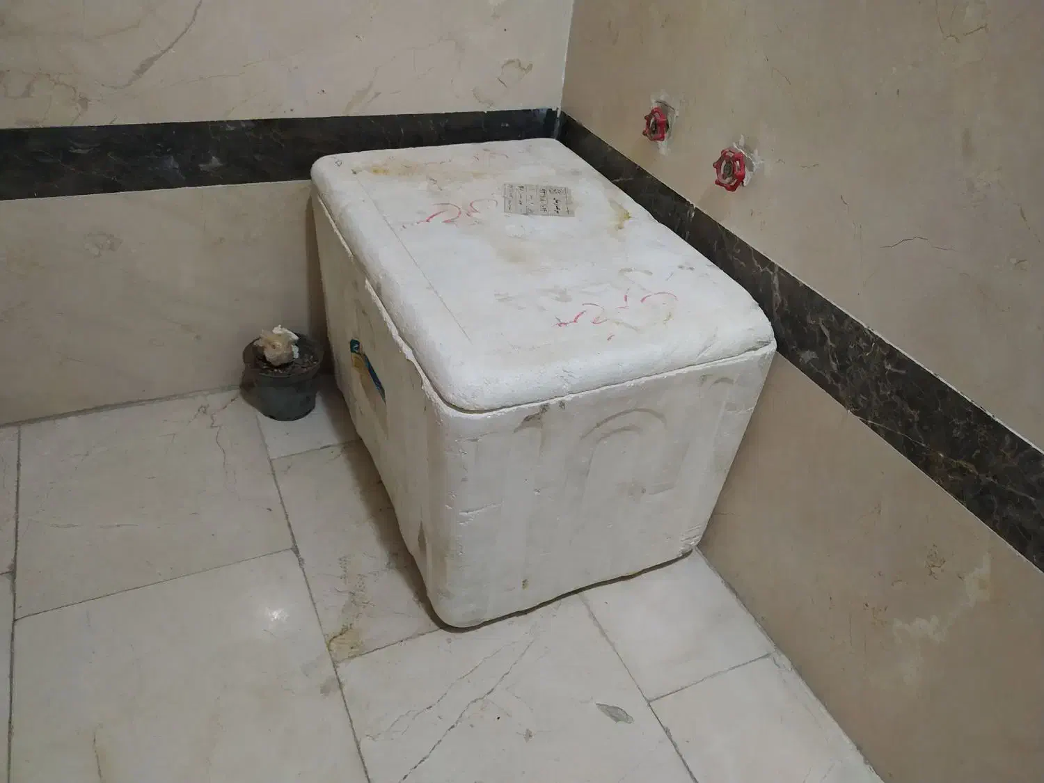 یخدون یونولیتی|ظروف نگهدارنده، پلاستیکی، یک‌بارمصرف|فردیس, نسترن شرقی|دیوار