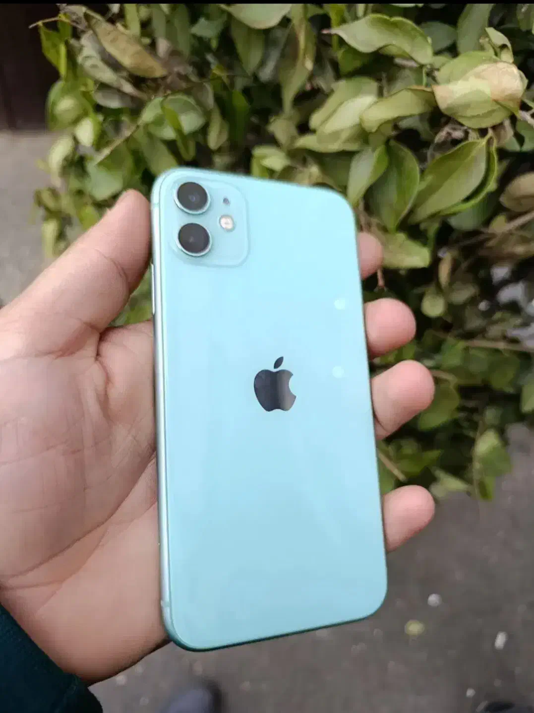 iphone 11 normal آیفون ۱۱ نرمال|موبایل|رشت, شهرک الغدیر|دیوار
