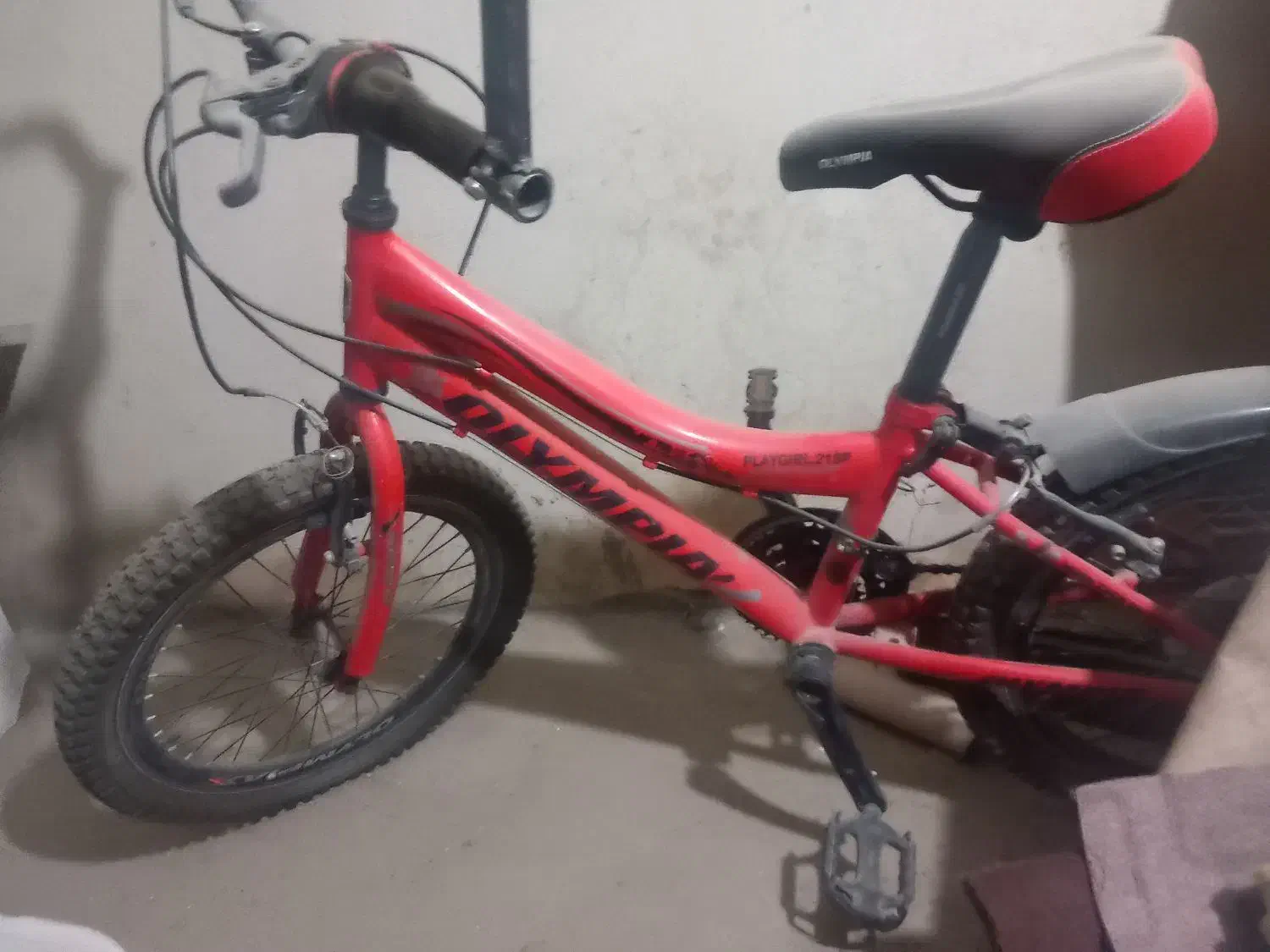 دوچرخه ۲۰سالم|دوچرخه، اسکیت، اسکوتر|مریوان, |دیوار