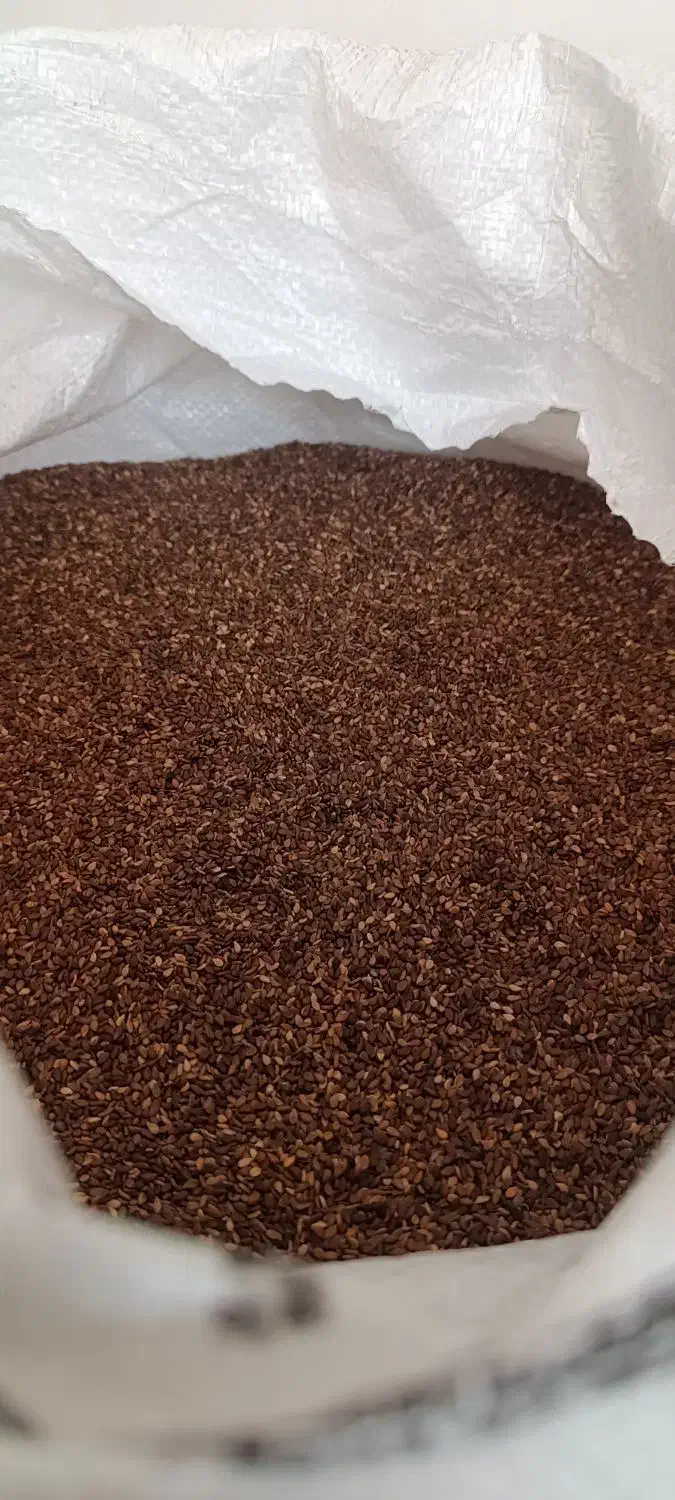 کنجد|خوردنی و آشامیدنی|دره شهر, |دیوار