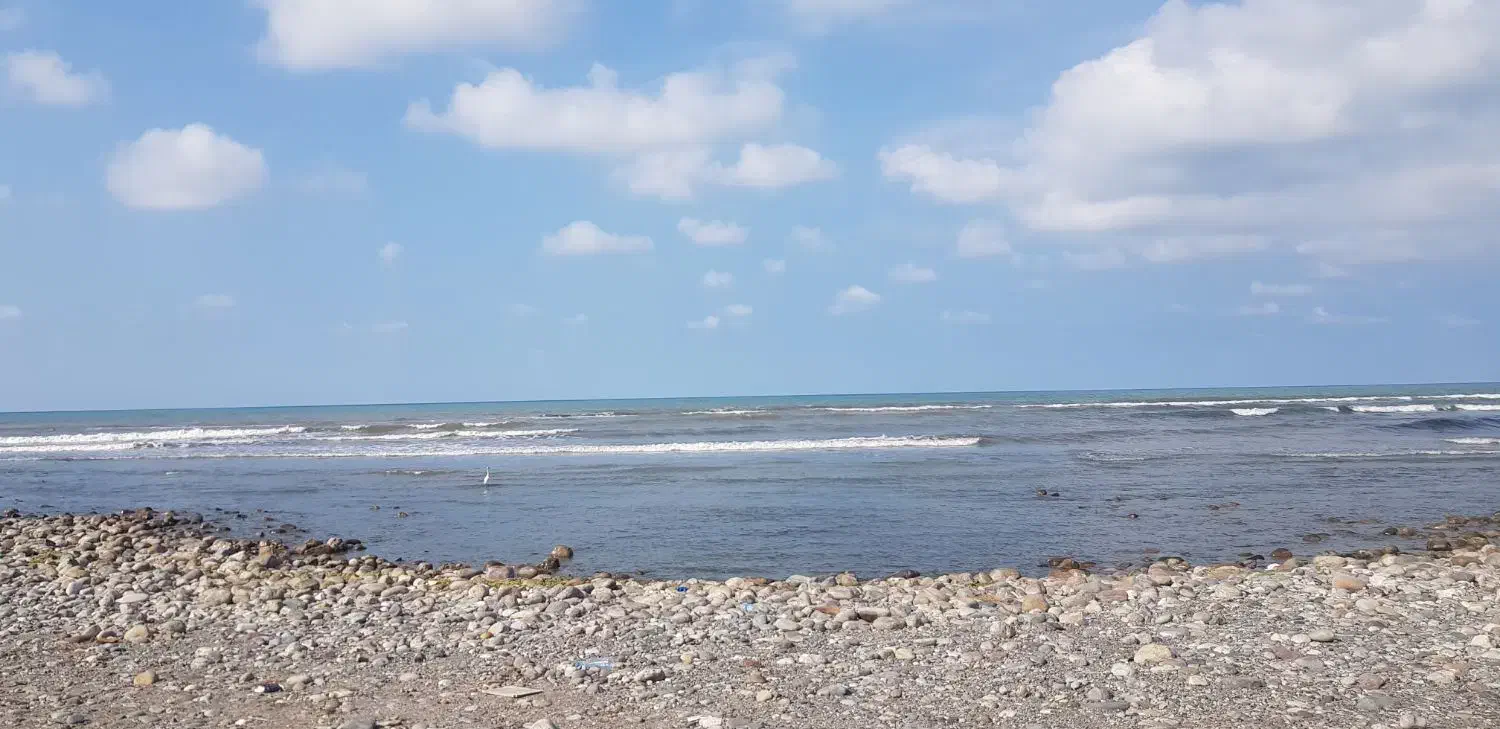 دربستی از تهران ب مشهد و مازندران|خدمات حمل و نقل|تهران, زرکش|دیوار