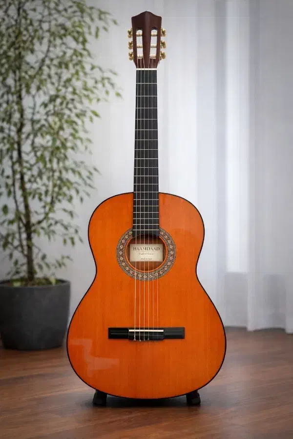 گیتار کلاسیک Haamdaad student|گیتار، بیس، امپلیفایر|تهران, جی|دیوار