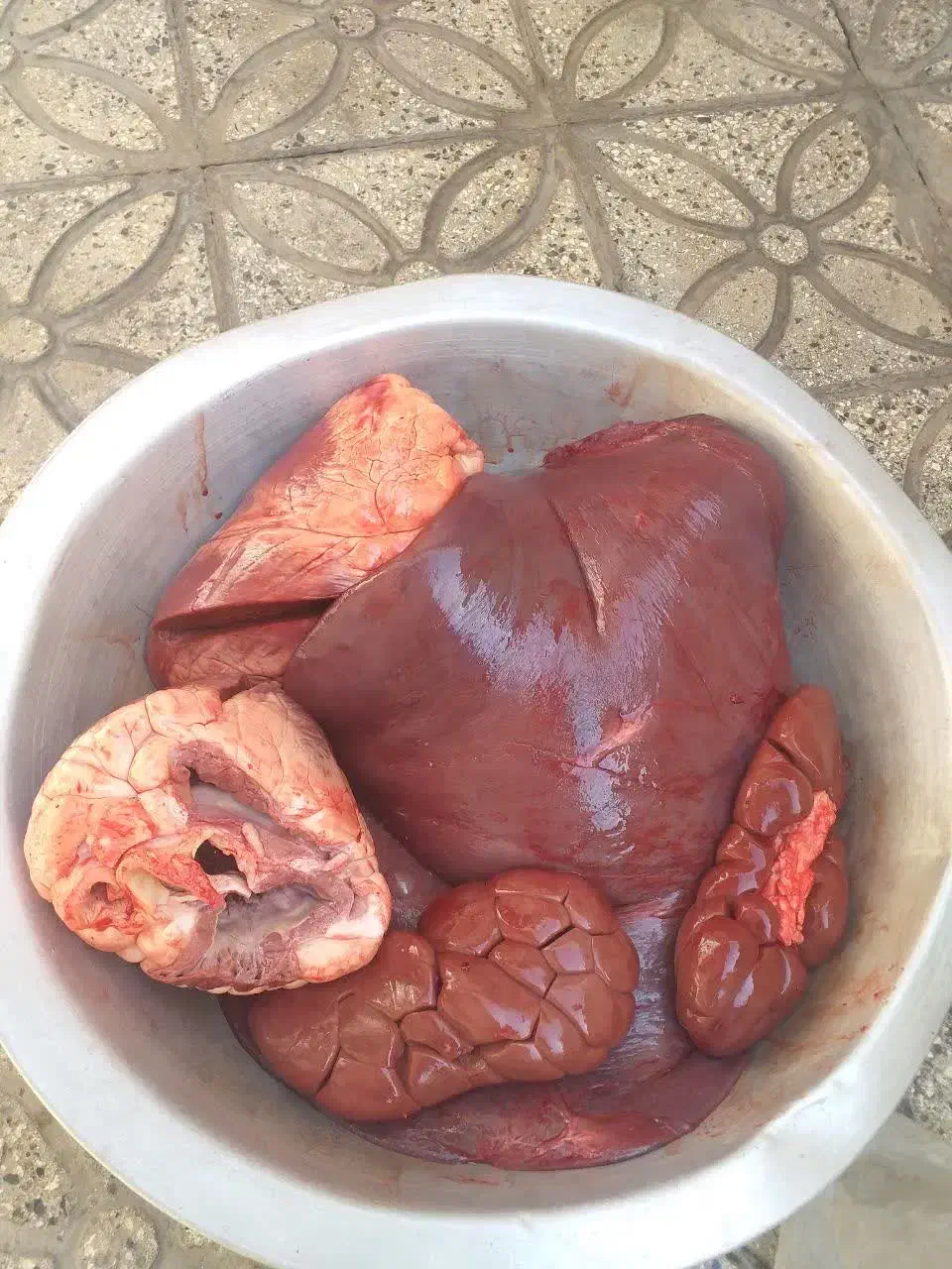 جگر گوساله تازه|حراج|ساوه, |دیوار