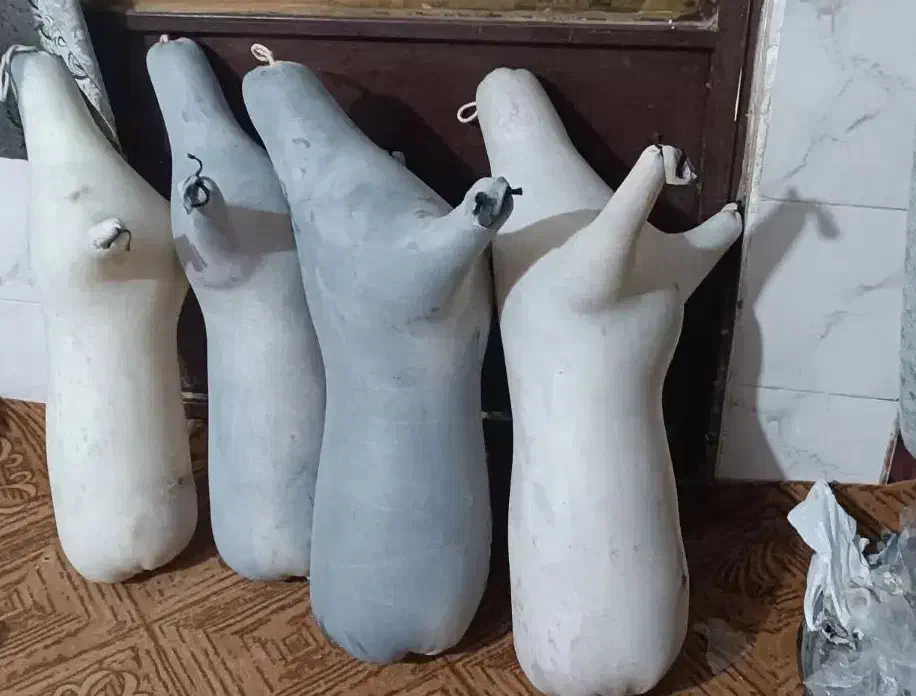 نی انبان|سازهای بادی|آبادان, |دیوار