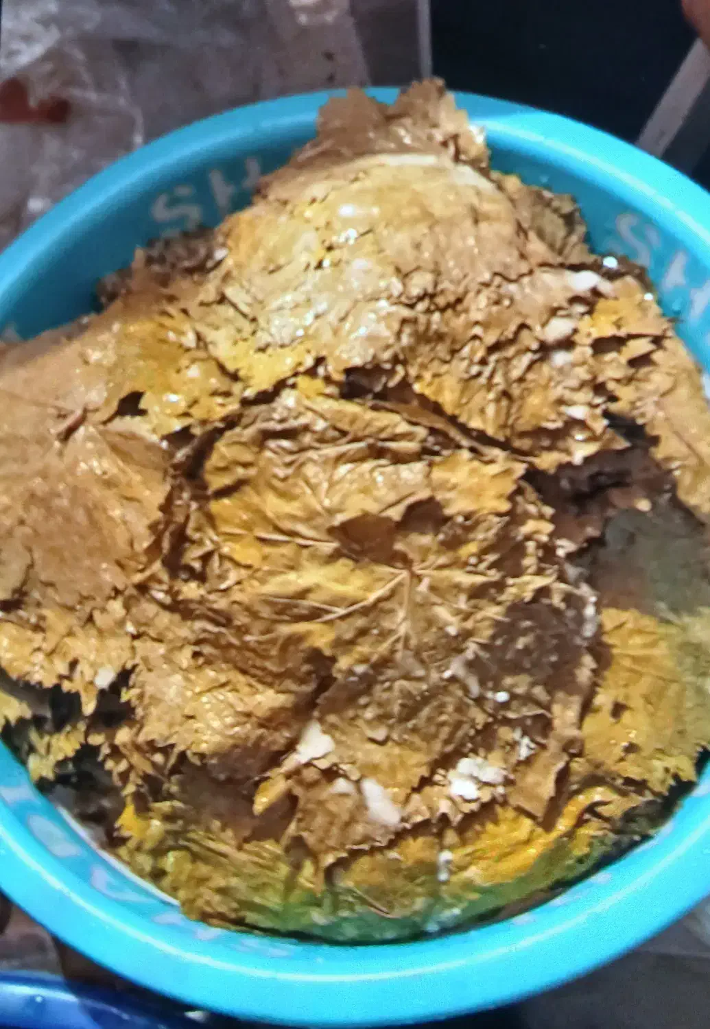 برگ انگور شوراب|خوردنی و آشامیدنی|مشگین شهر, |دیوار