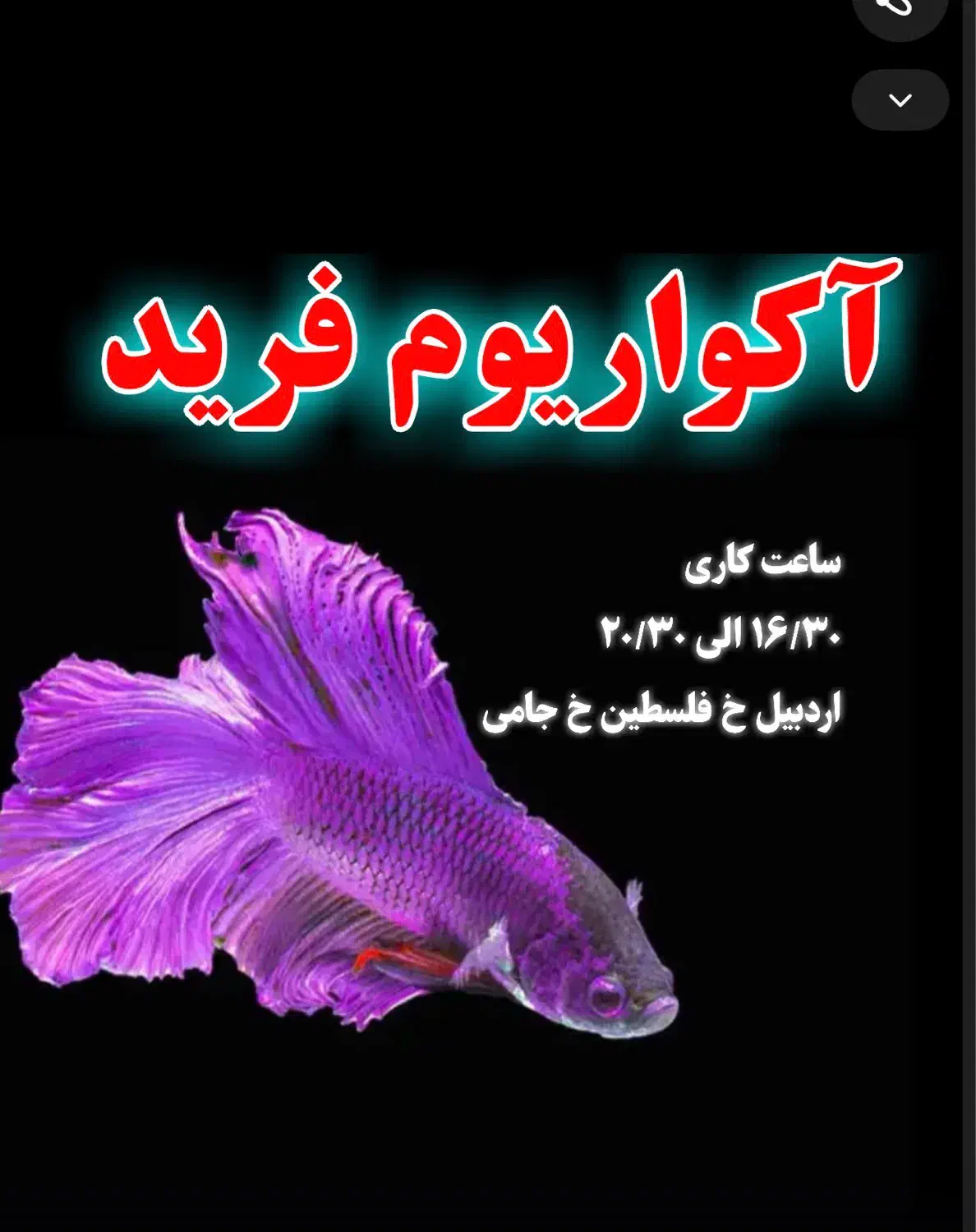 گیاه طبیعی/ماهی /دارو /آکواریوم رسید|ماهی|اردبیل, |دیوار