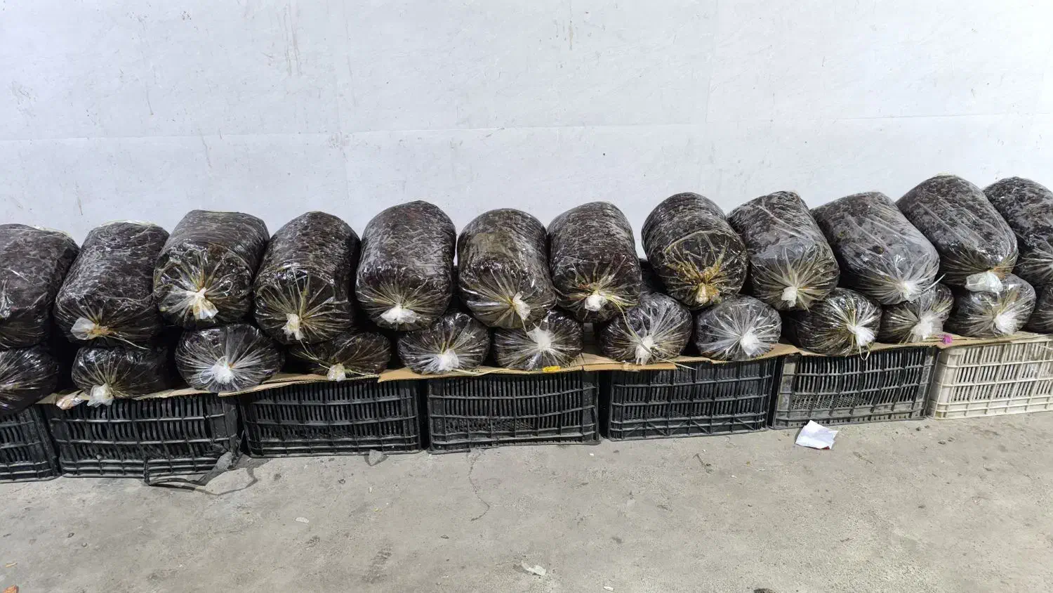 فروش خرمایی پلاستیکی مرداسنگ|خوردنی و آشامیدنی|توکهور, |دیوار