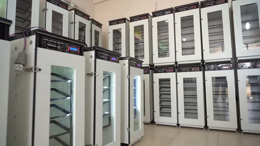 دستگاه ها جوجه کشی تمام اتوماتیک هدایت|لوازم جانبی حیوانات|شهریار, شهرک شاهد|دیوار