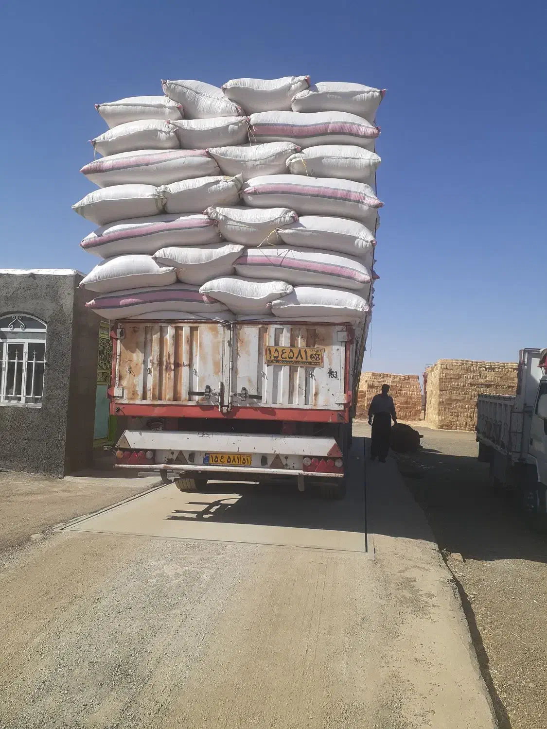 فروش کاه دیم کردستان|خدمات باغبانی و درختکاری|اصفهان, آبشار|دیوار