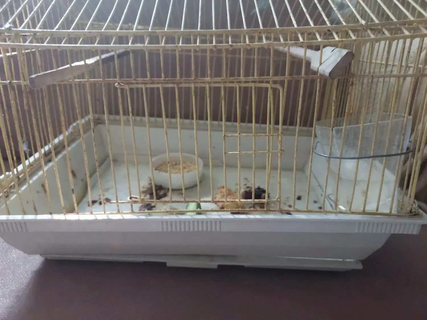 قفس پرنده|لوازم جانبی حیوانات|شیراز, درکی|دیوار