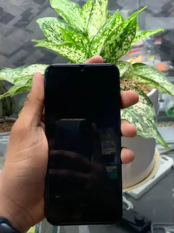 گوشی موبایل a24|موبایل|جیرفت, |دیوار